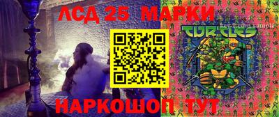 гидра Аргун