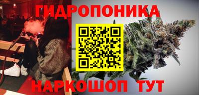 гидра Аргун