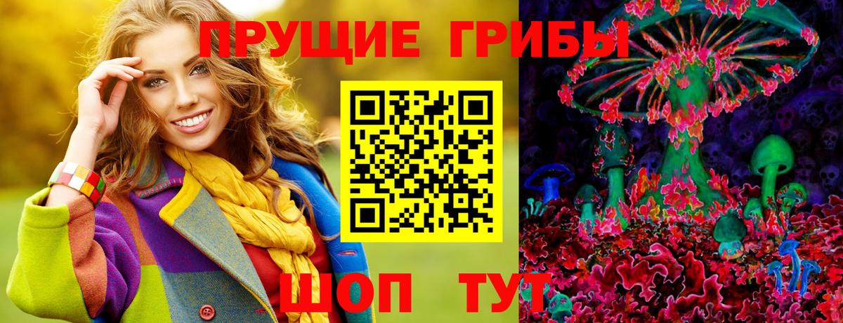Беслан  Галлюциногенные грибы Psilocybine cubensis  Вход с VPN 