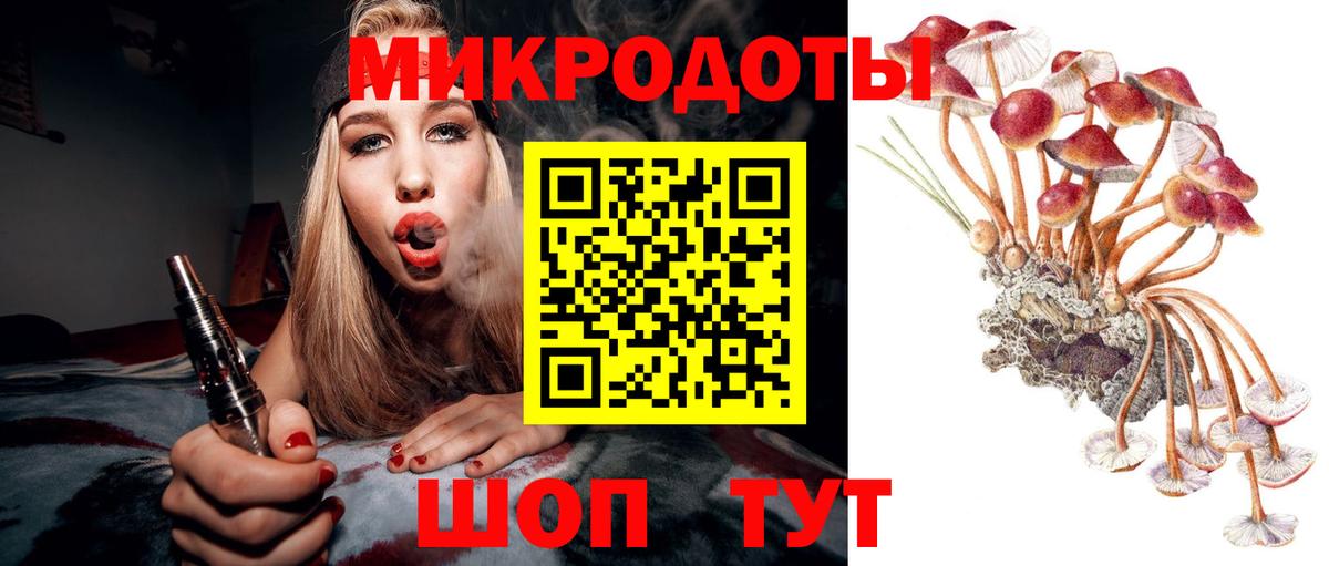 Галлюциногенные грибы Psilocybine cubensis Беслан